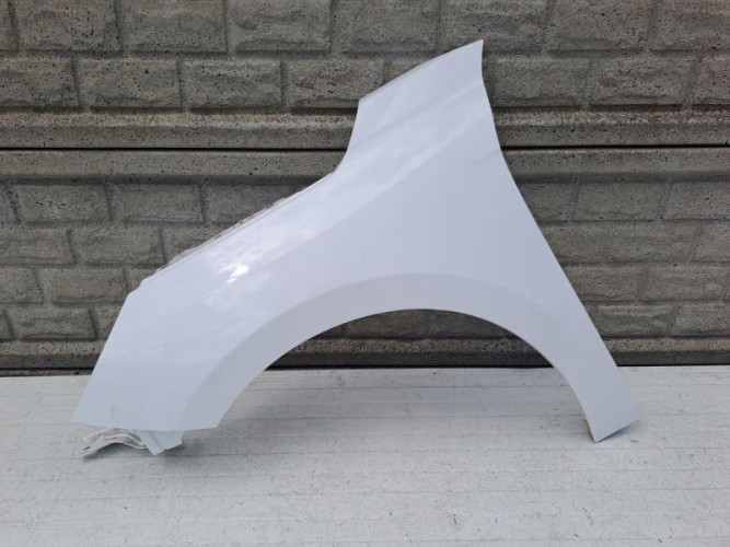 OPEL CORSA F 2019 2023 BŁOTNIK LEWY PRZEDNI - (13880234959)