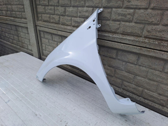 BŁOTNIK PRZEDNI LEWY RENAULT CLIO 3 195 06-13 - (14122986717)