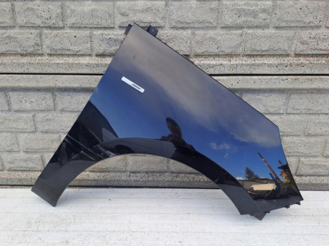 RENAULT SCENIC 3 III LIFT BŁOTNIK PRZEDNI PRAWY - (14274582873)