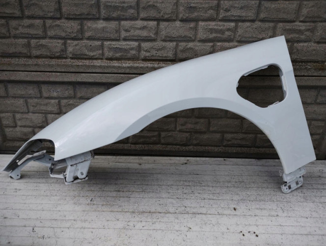 PORSCHE TAYCAN 9J1 9 J BŁOTNIK PRZEDNI LEWY - (15363868429)