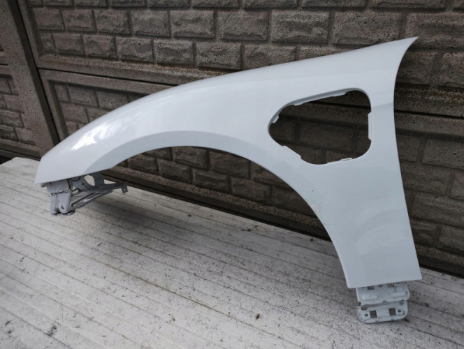 PORSCHE TAYCAN 9J1 9 J BŁOTNIK PRZEDNI LEWY - (15363868429)