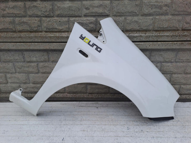 FIAT GRANDE PUNTO EVO 05-17 BŁOTNIK PRZEDNI PRAWY - (15542797788)