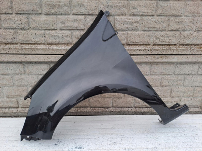 BŁOTNIK PRZEDNI LEWY RENAULT CLIO 3 195 06-13 - (15903984459)