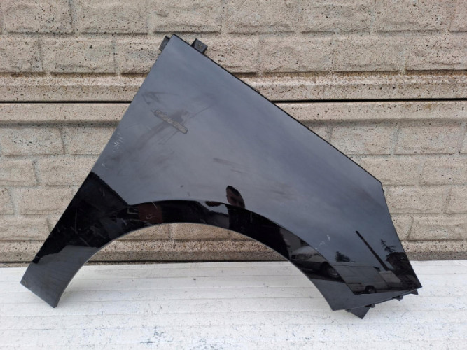 RENAULT SCENIC 3 III LIFT BŁOTNIK PRZEDNI PRAWY - (15904128849)