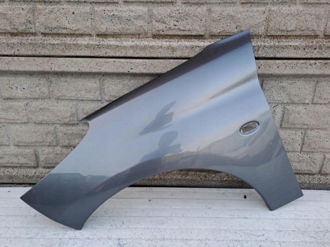 PEUGEOT 206 + PLUS BŁOTNIK PRZEDNI LEWY - (16107870867)
