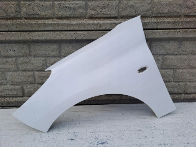 PEUGEOT 206 + PLUS BŁOTNIK PRZEDNI LEWY - (16259394373)