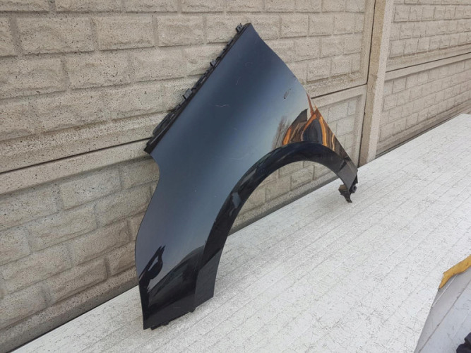 RENAULT SCENIC 4 IV 17-20 BŁOTNIK PRZEDNI LEWY - (11977664110)
