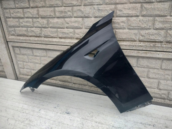 TESLA MODEL S BŁOTNIK LEWY PRZEDNI - (16607738467)