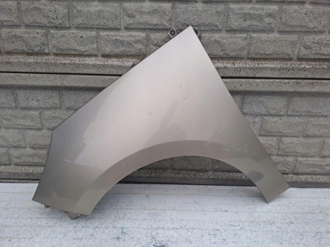 RENAULT SCENIC 3 III LIFT BŁOTNIK PRZEDNI LEWY - (16820923702)