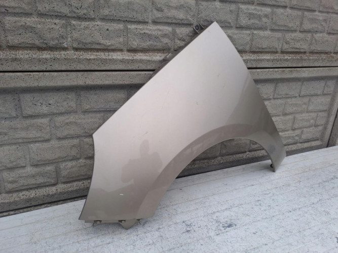 RENAULT SCENIC 3 III LIFT BŁOTNIK PRZEDNI LEWY - (16820923702)