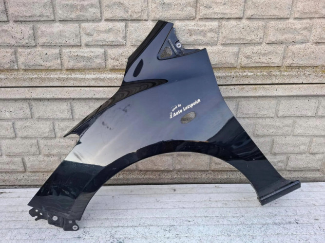 BŁOTNIK PRZEDNI LEWY MAZDA 2 II 2007-14 - (16973318510)