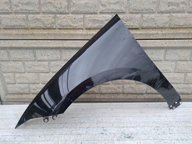BŁOTNIK PRAWY PRZEDNI HYUNDAI IONIQ 5 V 24- - (17133027144)