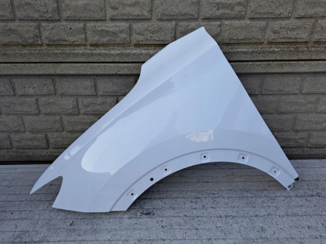 MG ZS EV BŁOTNIK PRZEDNI LEWY - (17148542356)