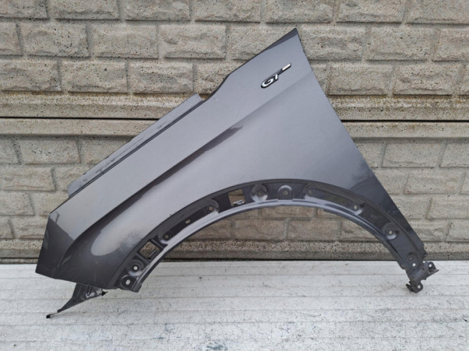 PEUGEOT 3008 5008 16-24 BŁOTNIK PRZEDNI LEWY - (17168556377)