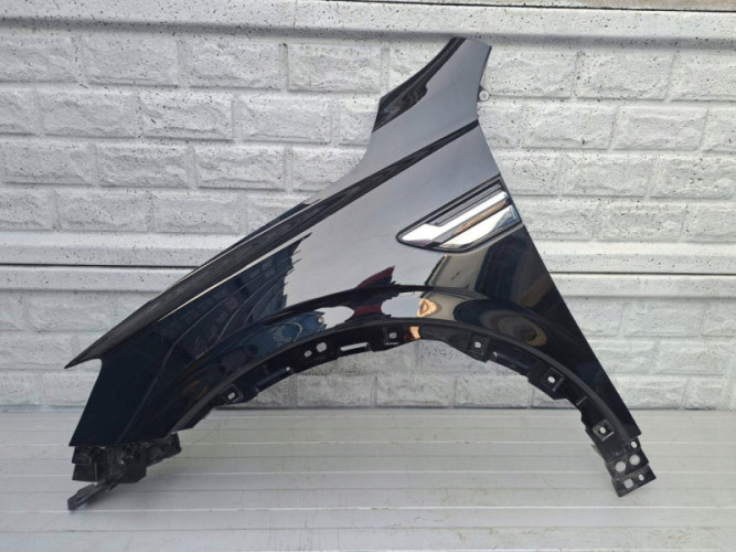 RENAULT ARKANA BŁOTNIK LEWY PRZEDNI - (17278949057)