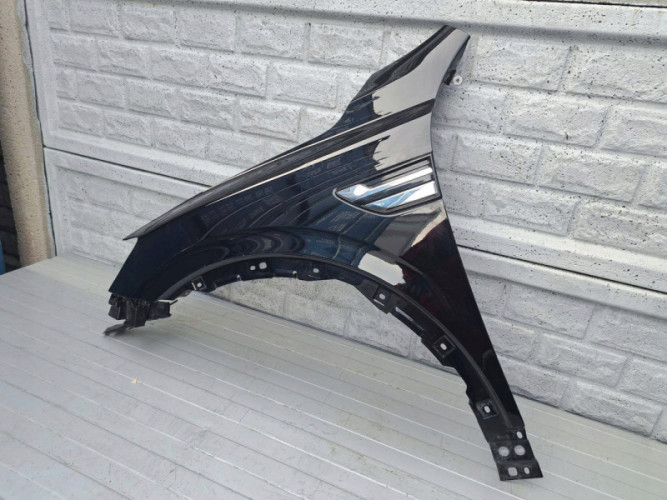 RENAULT ARKANA BŁOTNIK LEWY PRZEDNI - (17278949057)