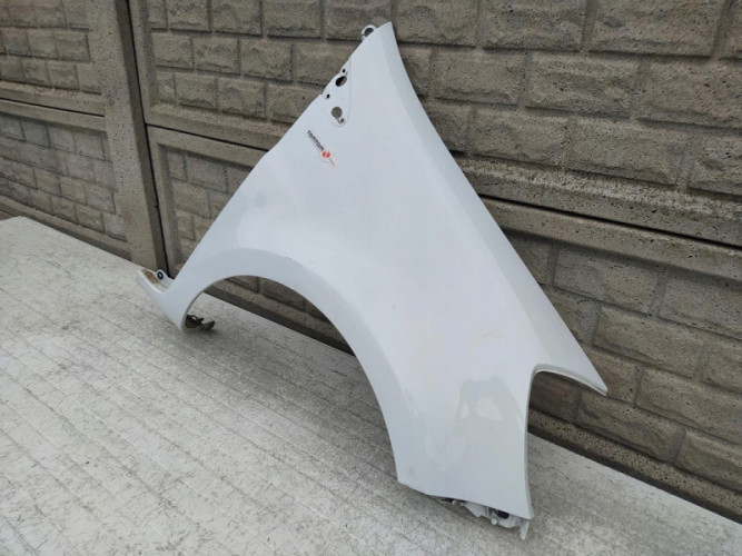 BŁOTNIK PRZEDNI PRAWY RENAULT CLIO 3 195 06-13 - (12222462243)