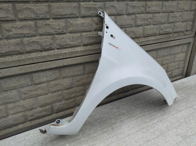BŁOTNIK PRZEDNI PRAWY RENAULT CLIO 3 195 06-13 - (12222462243)