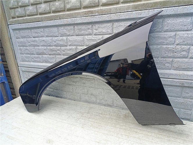 CHEVROLET CHALLENGER BŁOTNIK LEWY PRZEDNI ORYGINAŁ (17350960755)
