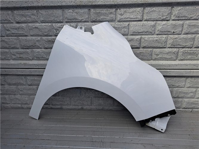 BŁOTNIK PRAWY PRZEDNI RENAULT KANGOO 3 III 4 IV 21- ORYGINAŁ (17399998735)