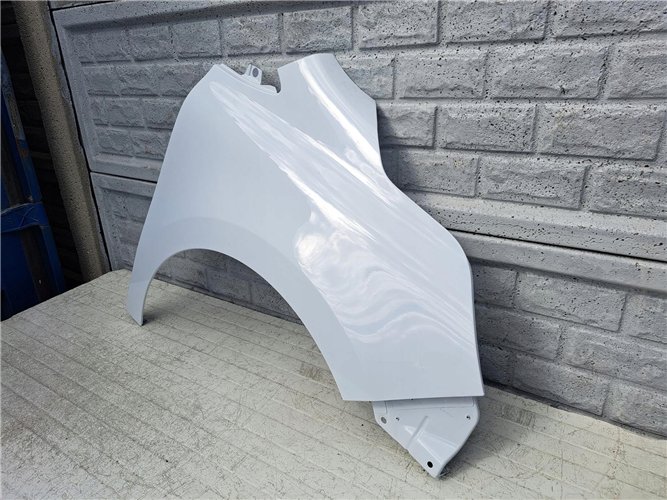 BŁOTNIK PRAWY PRZEDNI RENAULT KANGOO 3 III 4 IV 21- ORYGINAŁ (17440195284)