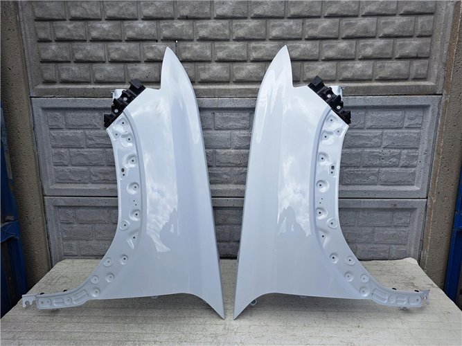 DACIA DUSTER III 3 2024- BŁOTNIK LEWY PRAWY PRZEDNI ORYGINAŁ (17441449600)