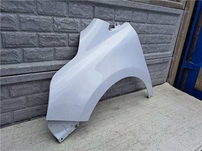 BŁOTNIK LEWY PRZEDNI RENAULT KANGOO 3 III 4 IV 21- ORYGINAŁ (17441483145)