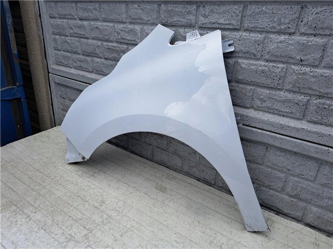 BŁOTNIK LEWY PRZEDNI RENAULT KANGOO 3 III 4 IV 21- ORYGINAŁ (17441483145)