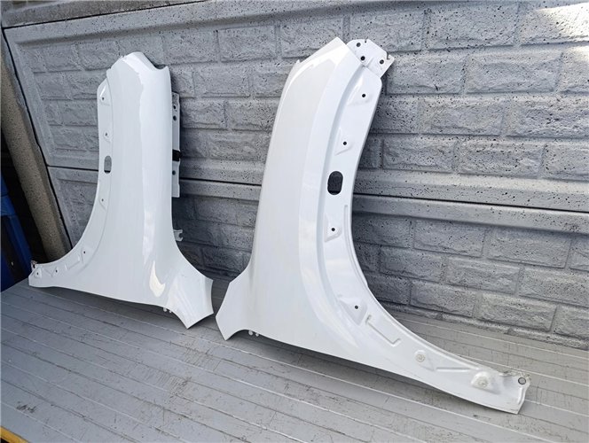 DACIA SPRING 2021- BŁOTNIK PRZEDNI PRAWY LEWY ORYGINAŁ (17495623449)