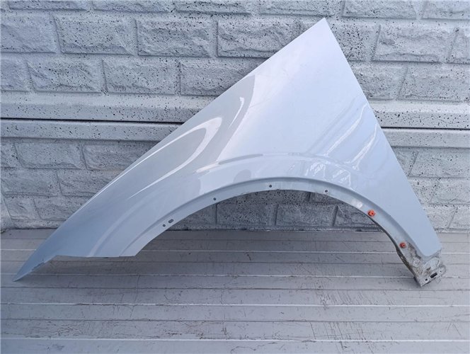 POLESTAR 2 BŁOTNIK PRZEDNI LEWY ORYGINAŁ (17503100528)