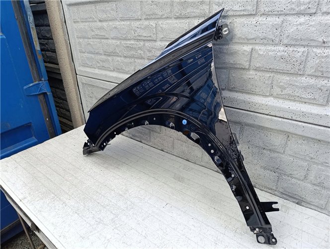 RENAULT AUSTRAL 22- BŁOTNIK LEWY PRZEDNI ORYGINAŁ (17557748202)