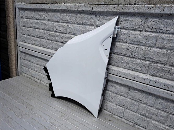 RENAULT TRAFIC IV 2022-24 BŁOTNIK PRZEDNI LEWY ORYGINAŁ (17567215630)