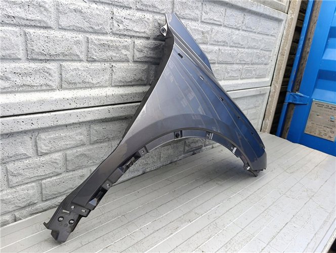 KOLEOS II 2 2018-2023 BŁOTNIK PRAWY PRZOD ORYGINAŁ (17570927657)