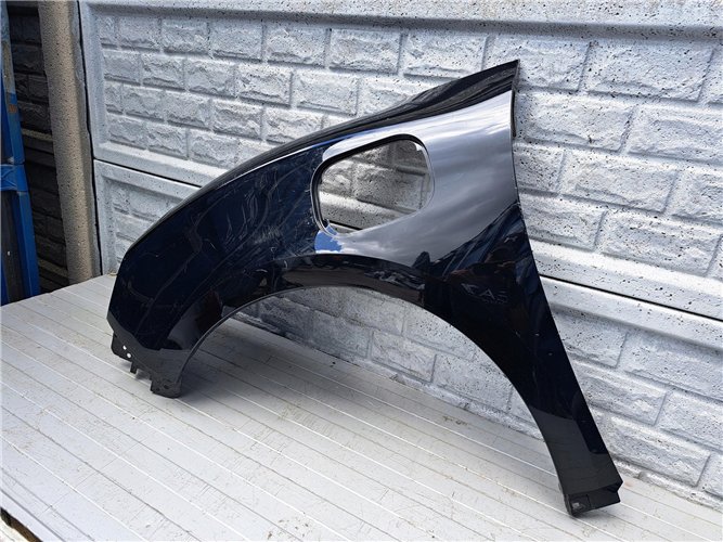 ORA GOOD CAT BŁOTNIK LEWY PRZÓD (17578557234)