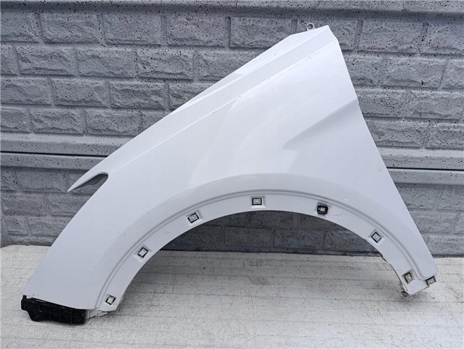 HYUNDAI SANTAFE SANTA FE 12- BŁOTNIK PRZEDNI LEWY ORYGINAŁ (17598786320)