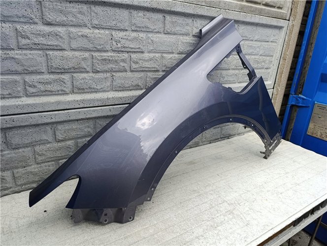 HONGQI E-HS9 20-25 BŁOTNIK PRZEDNI LEWY ORYGINAŁ (17602534002)