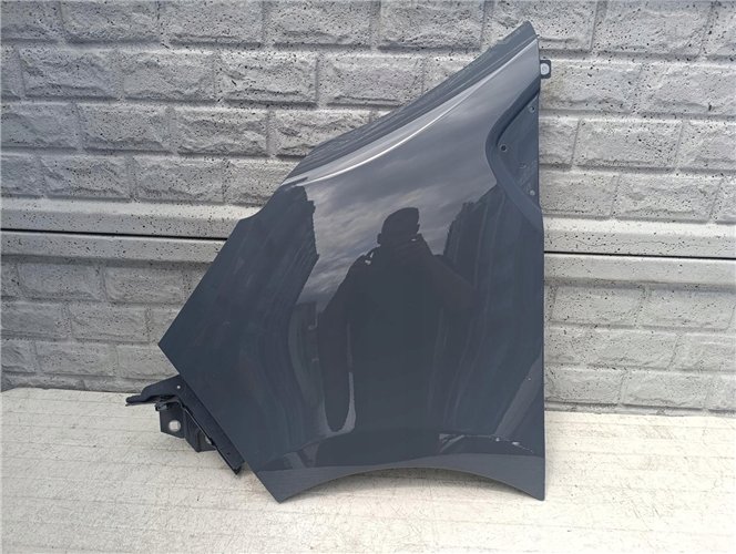 RENAULT TRAFIC IV 2022-25 BŁOTNIK PRZEDNI LEWY ORYGINAŁ (17618533805)