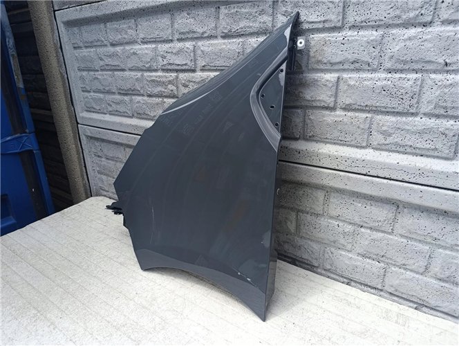 RENAULT TRAFIC IV 2022-25 BŁOTNIK PRZEDNI LEWY ORYGINAŁ (17618533805)