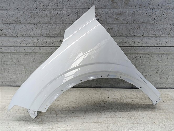 RENAULT MEGANE 5 V E-TECH 24- BŁOTNIK PRZEDNI LEWY ORYGINAŁ (17665095018)