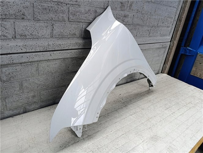 RENAULT MEGANE 5 V E-TECH 24- BŁOTNIK PRZEDNI LEWY ORYGINAŁ (17665095018)