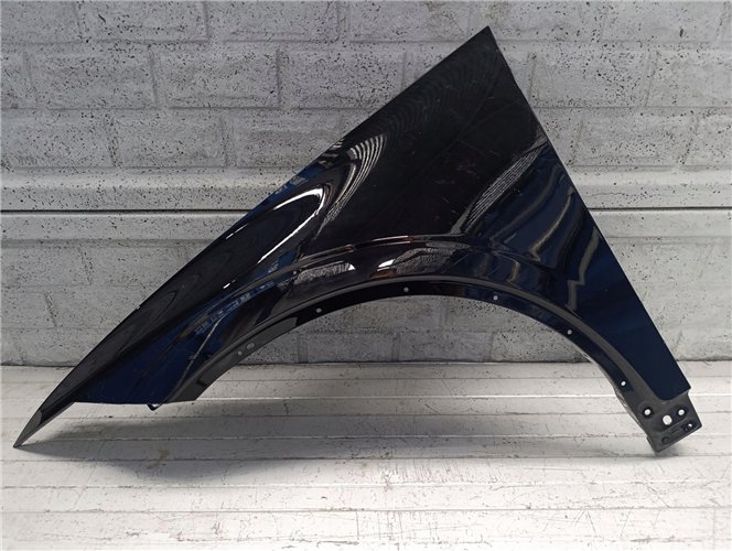 POLESTAR 2 BŁOTNIK PRZEDNI LEWY ORYGINAŁ (17676282218)