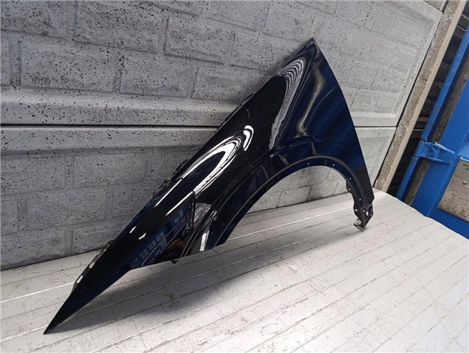 POLESTAR 2 BŁOTNIK PRZEDNI LEWY ORYGINAŁ (17676282218)