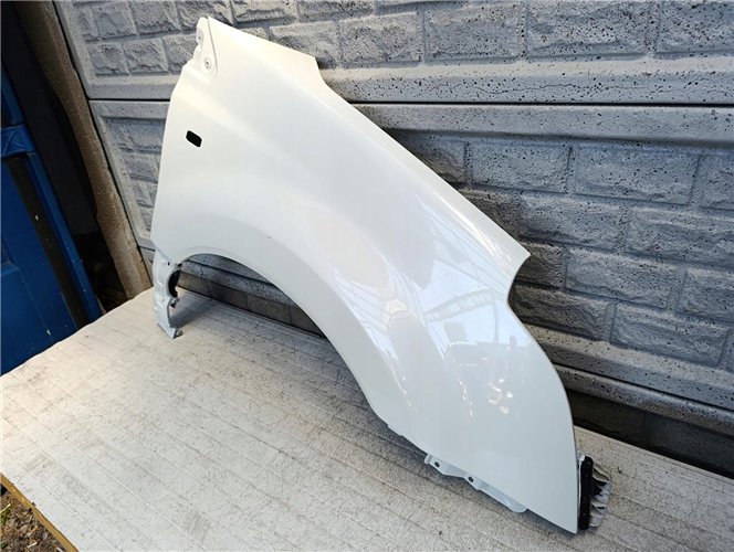 KOLEOS I 1 08-13 BŁOTNIK PRAWY PRZOD ORYGINAŁ (17681793800)