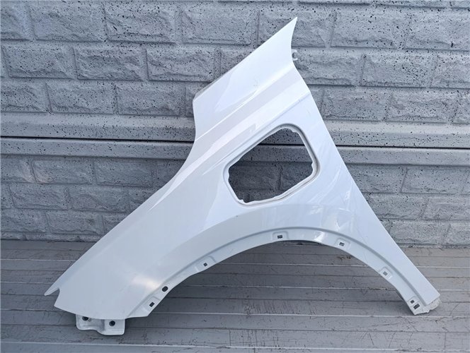 XPENG G3 G3I BŁOTNIK LEWY PRZEDNI ORYGINAŁ (17702743709)