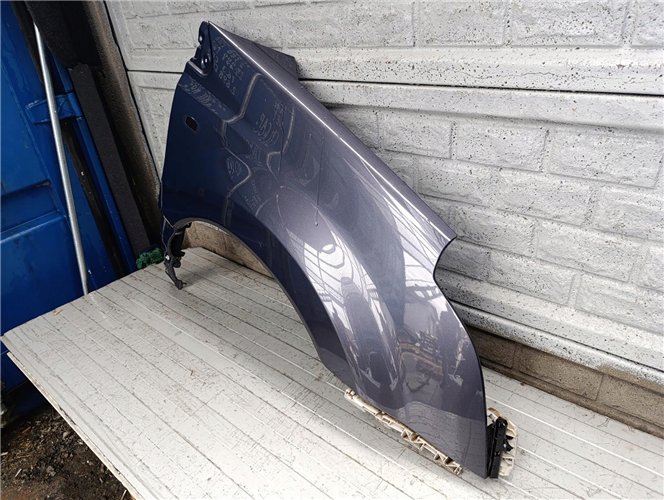 KOLEOS I 1 08-13 BŁOTNIK PRAWY PRZOD ORYGINAŁ (17752510267)