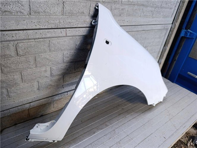 RENAULT KANGOO 3 III 2013-2018 LIFT BŁOTNIK PRAWY ORYGINAŁ (17814095407)