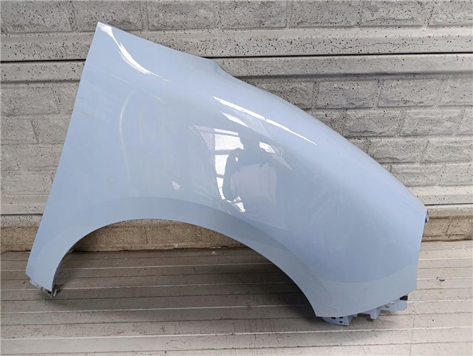 ORA GOOD CAT BŁOTNIK PRAWY PRZÓD (17828181911)