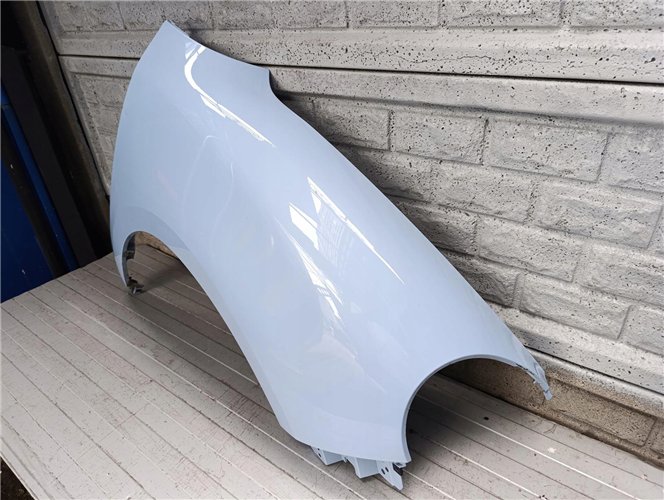 ORA GOOD CAT BŁOTNIK PRAWY PRZÓD (17828181911)