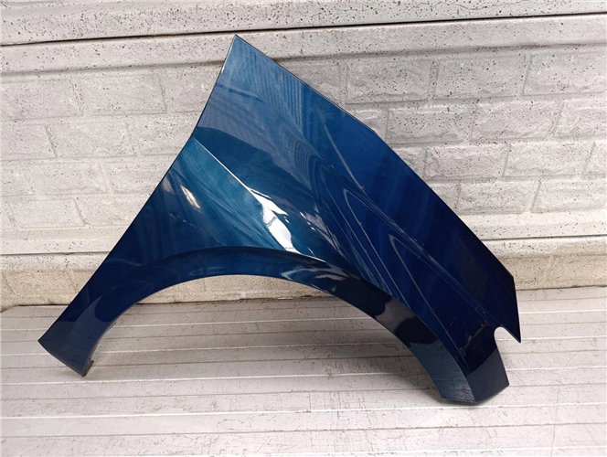 BŁOTNIK PRAWY PRZEDNI SEAT CUPRA BORN 21-24 ORYGINAŁ (17900604976)