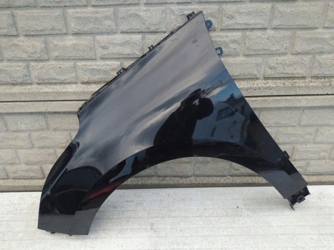 RENAULT SCENIC 4 IV 17-21BŁOTNIK PRZEDNI LEWY - (12641767174)